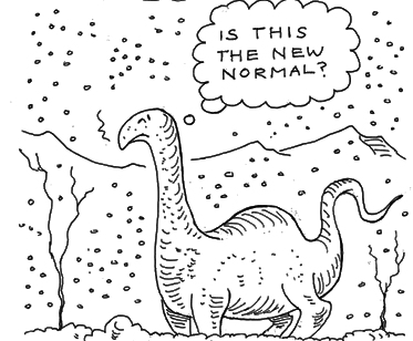 new norm dino
